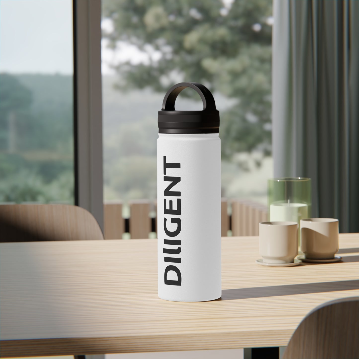 Stainless Steel Water Bottle, Handle Lid